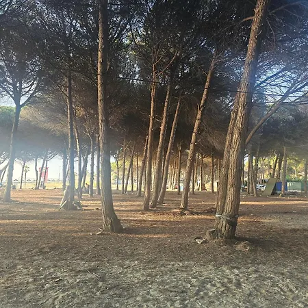 Vacation In A Quiet Near The Villa